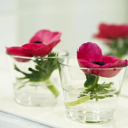 Affittacamere Engvej *