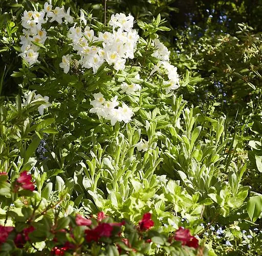 Casa de hóspedes Engvej