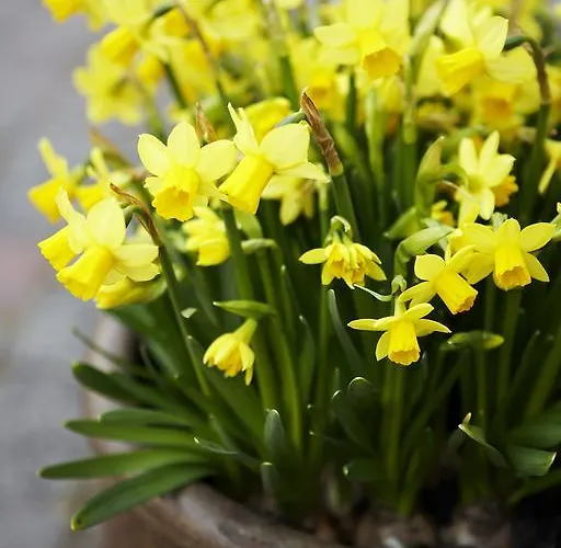 Casa de hóspedes Engvej *